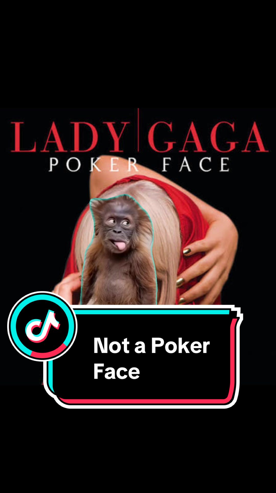 @Platopoker