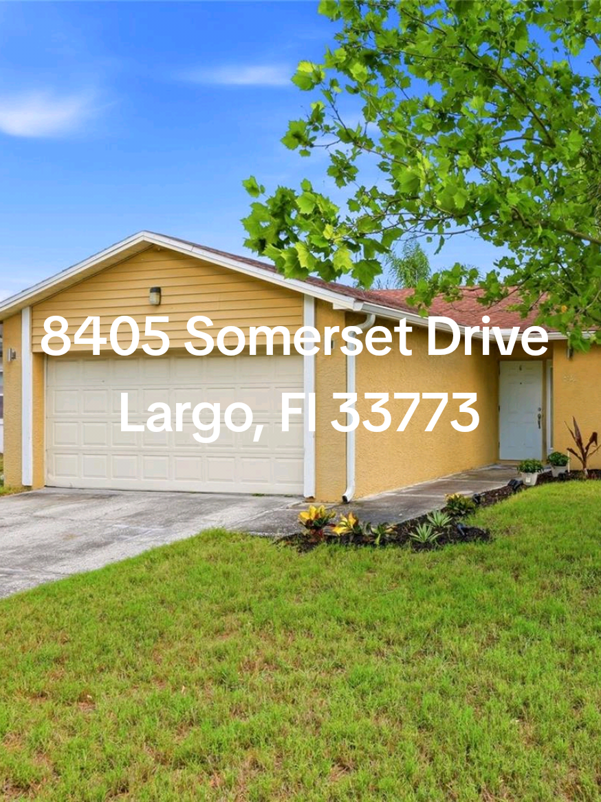 @Shannon |Tampa Realty Expert