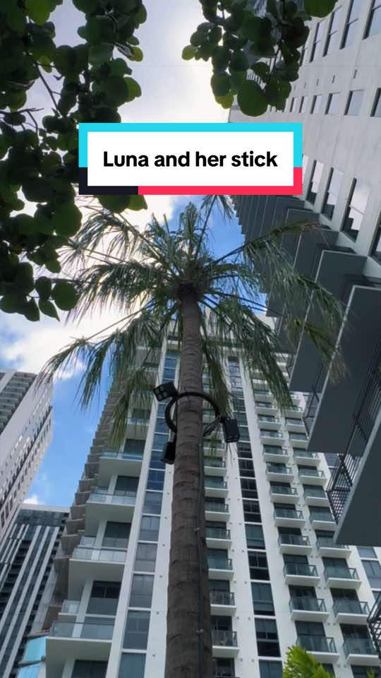 @Viola & Luna