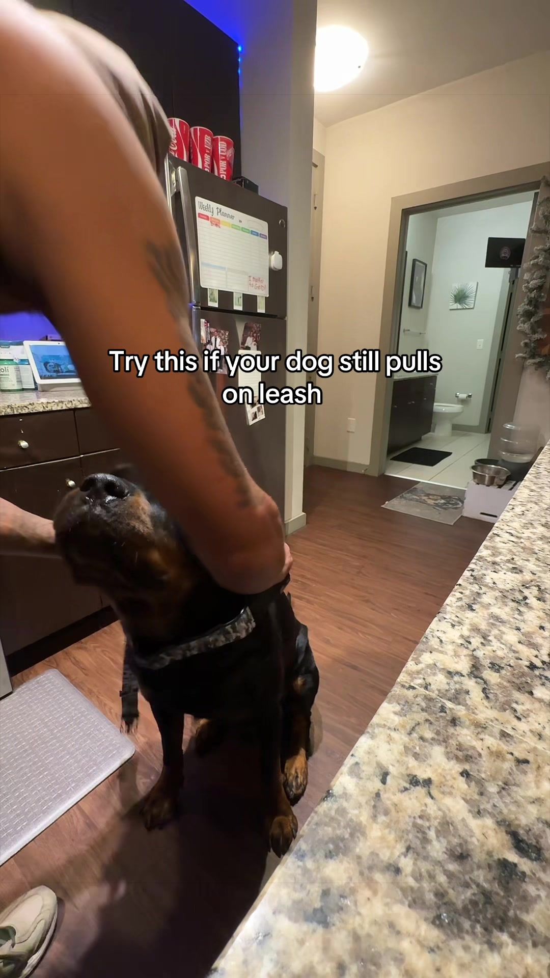 @DommD4L