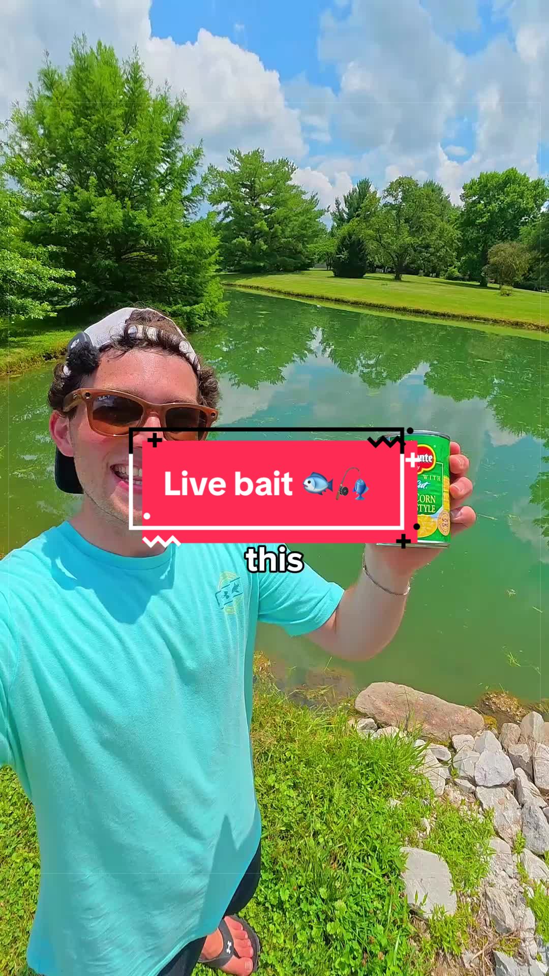 @Dryfly