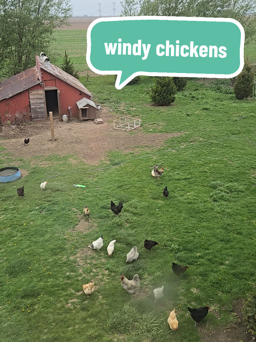@Kayla | SageWind Farmstead