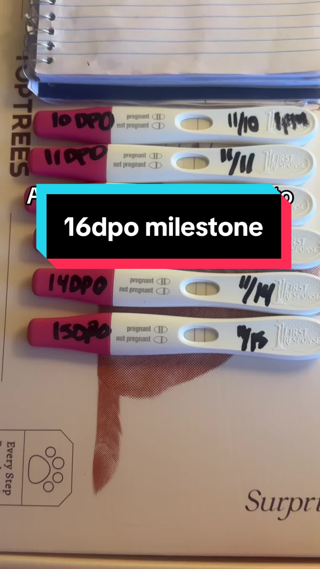 @🐾 Mav&MamaMel🤰🏼 | FTM