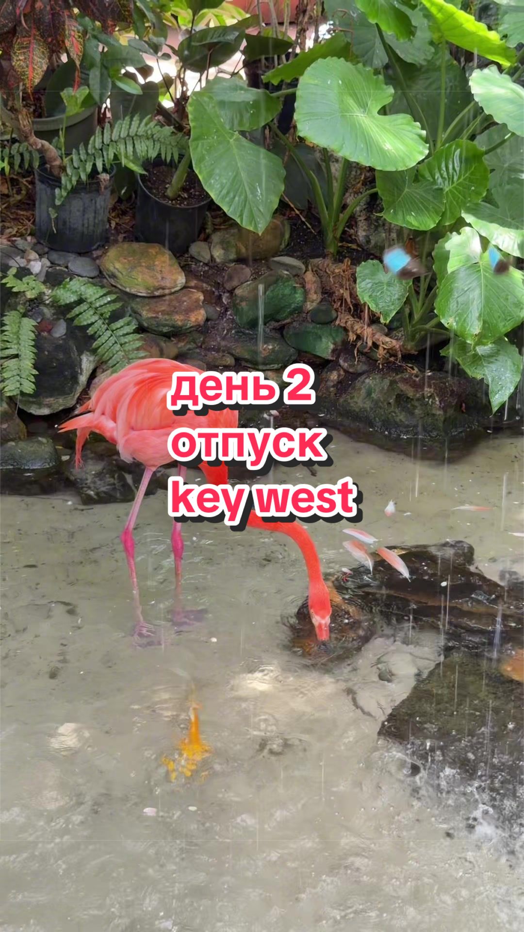 @Аля