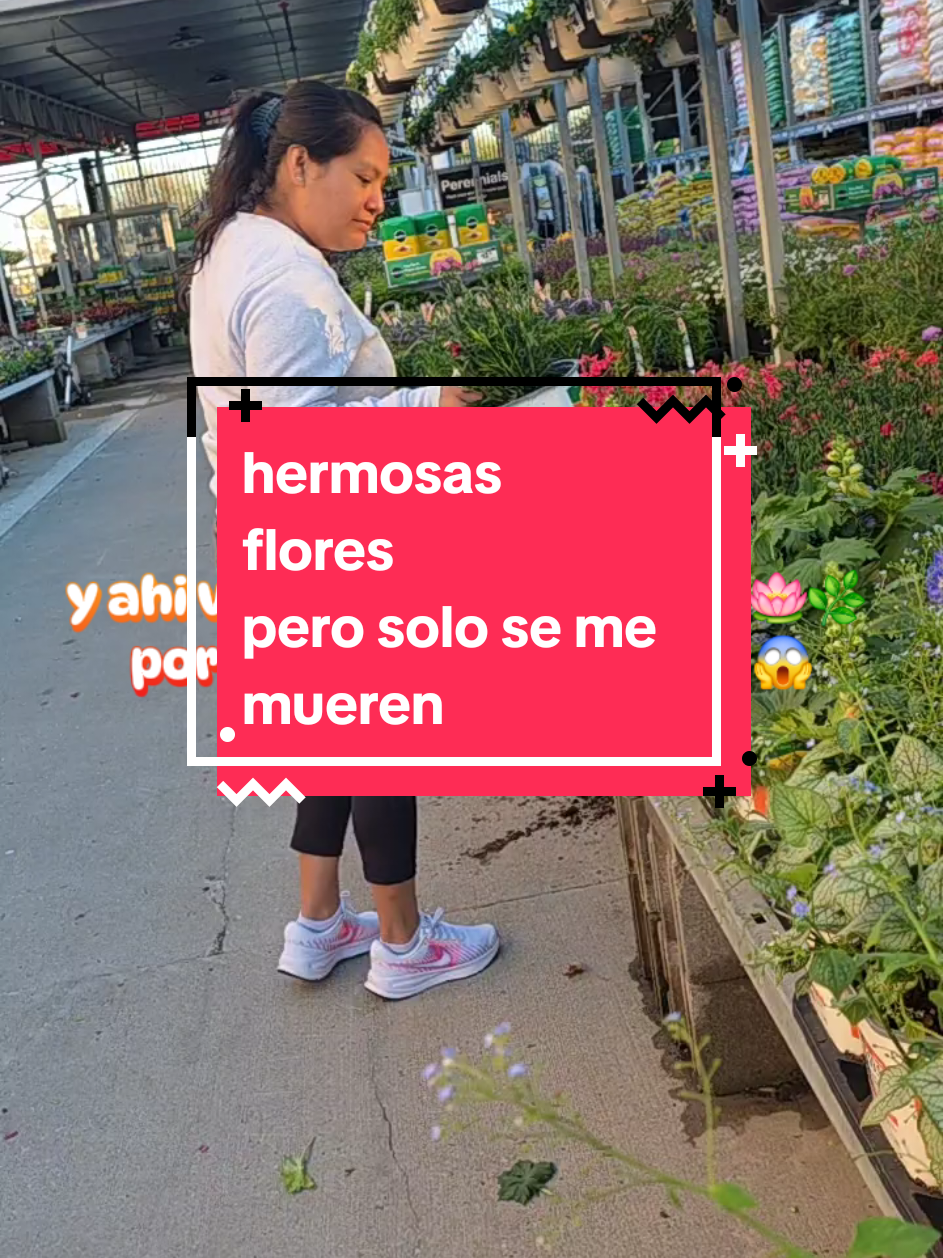 @✾🩷ᴍᴀʀᴛɪɴᴀ ʀᴇʏᴇs ᴍᴀʟᴅᴏɴᴀᴅᴏ🩷 ✾
