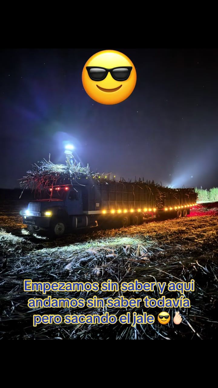 @davidmoreno5900