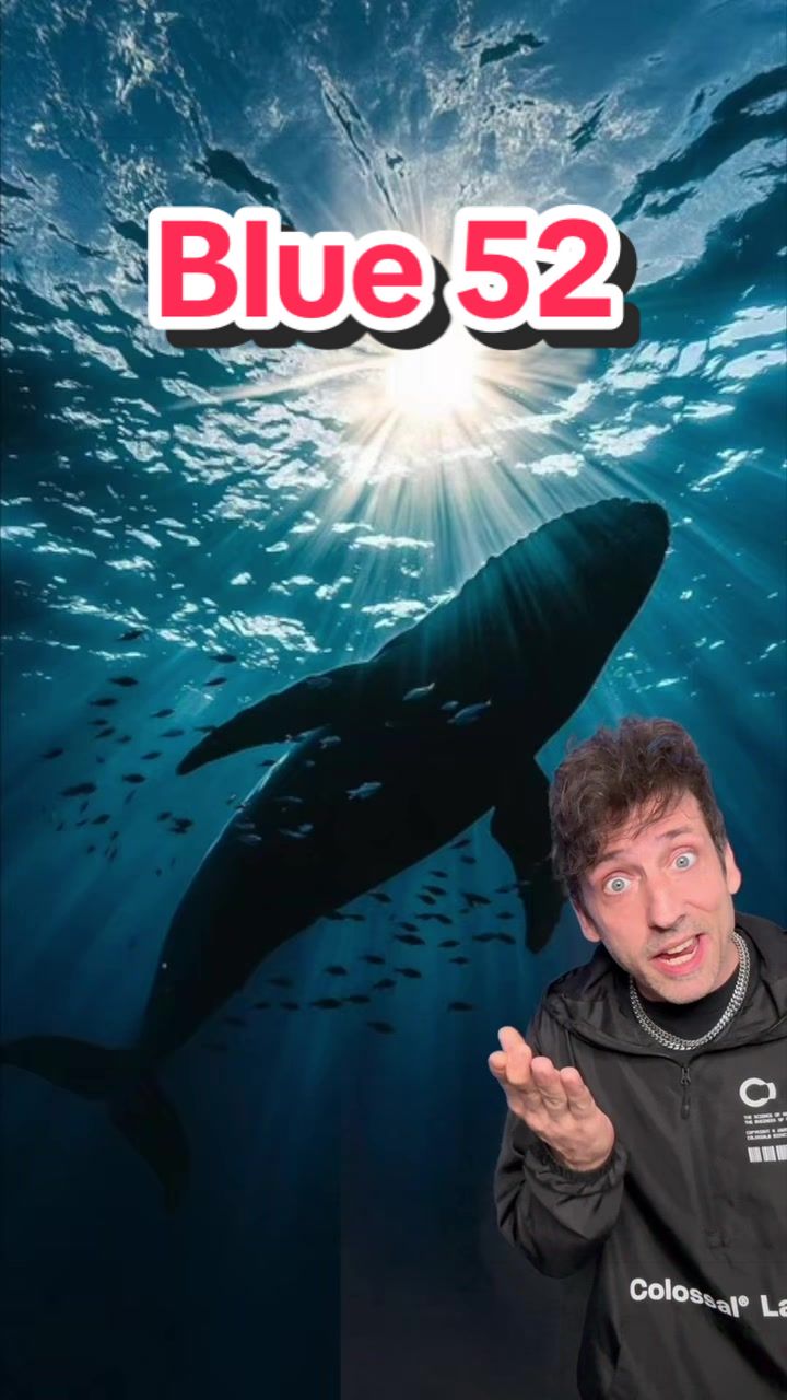 @Odd Danny
