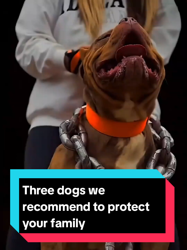 @The pet post
