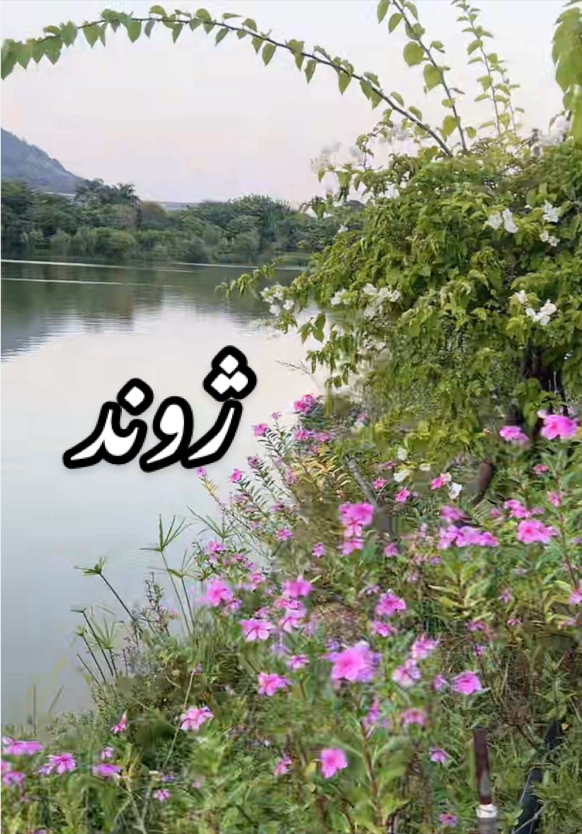 @SeenByWaseem