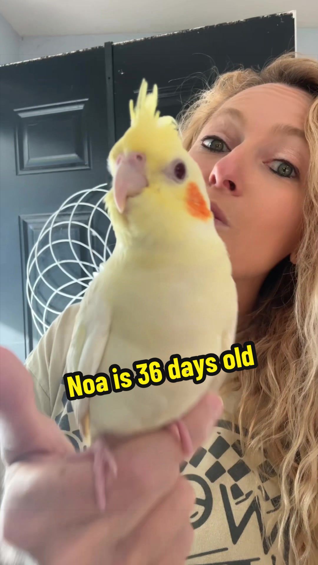 @Nico & Nari