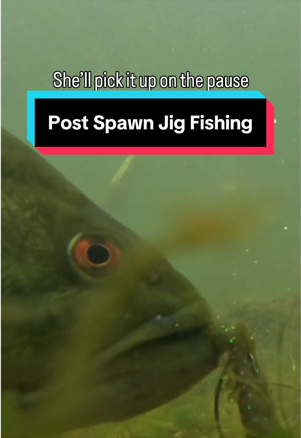 @Motion Fishing