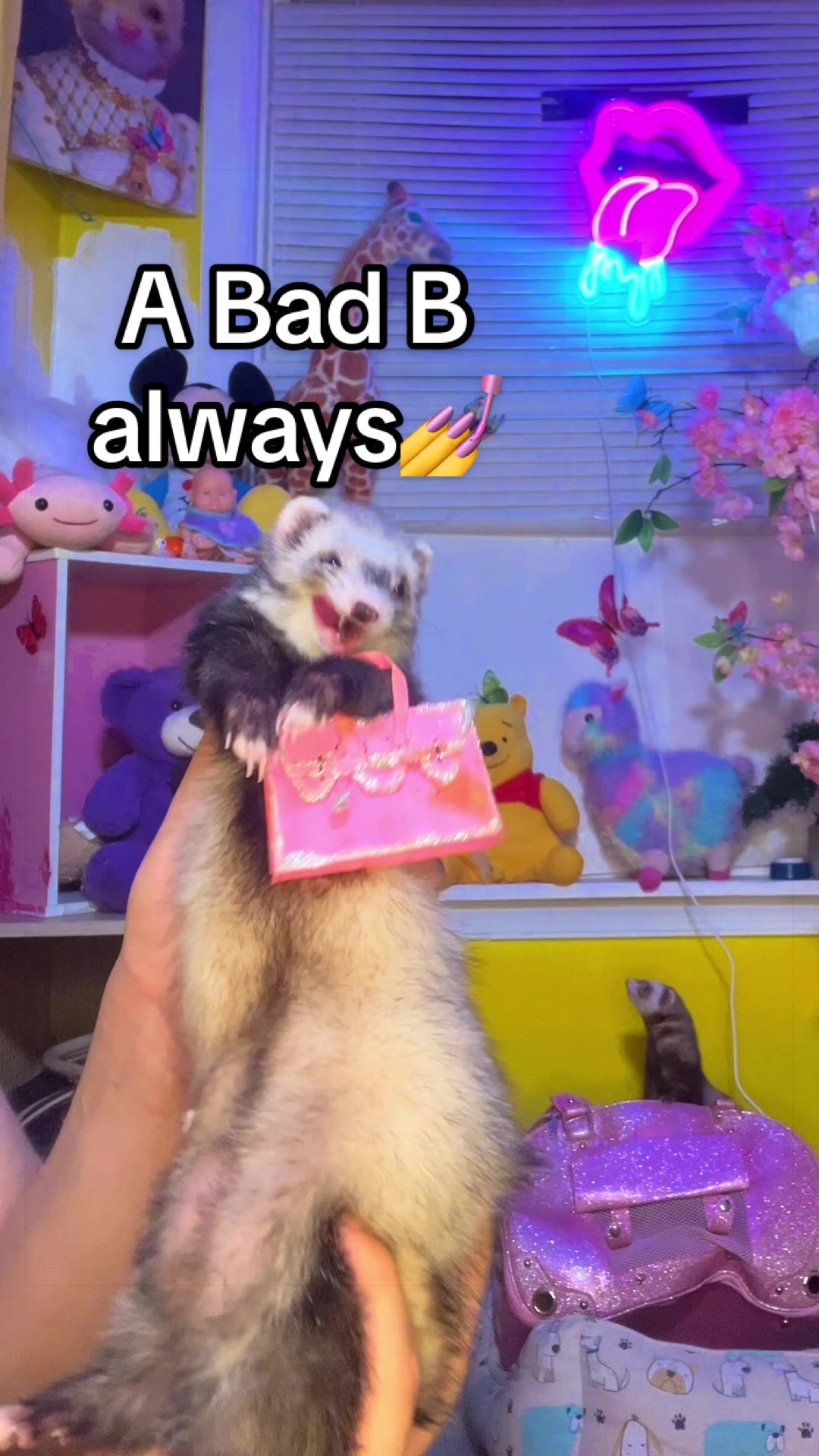@Floofnoodles