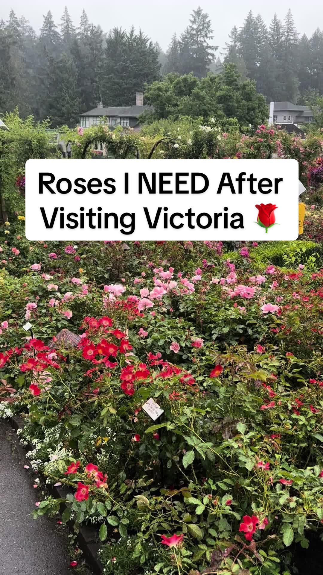 @Ash Acres Texas Gardening