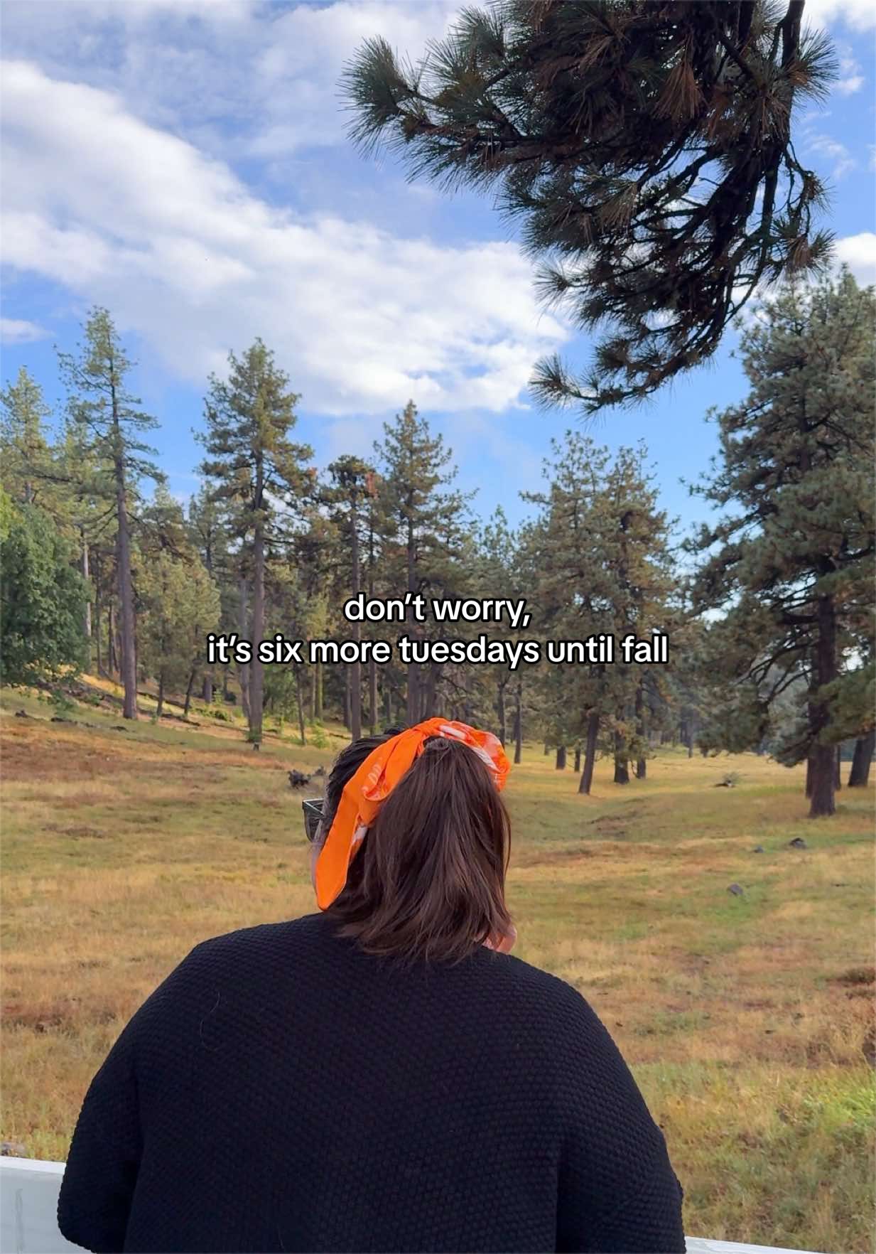 @Seasonal Kaitlyn