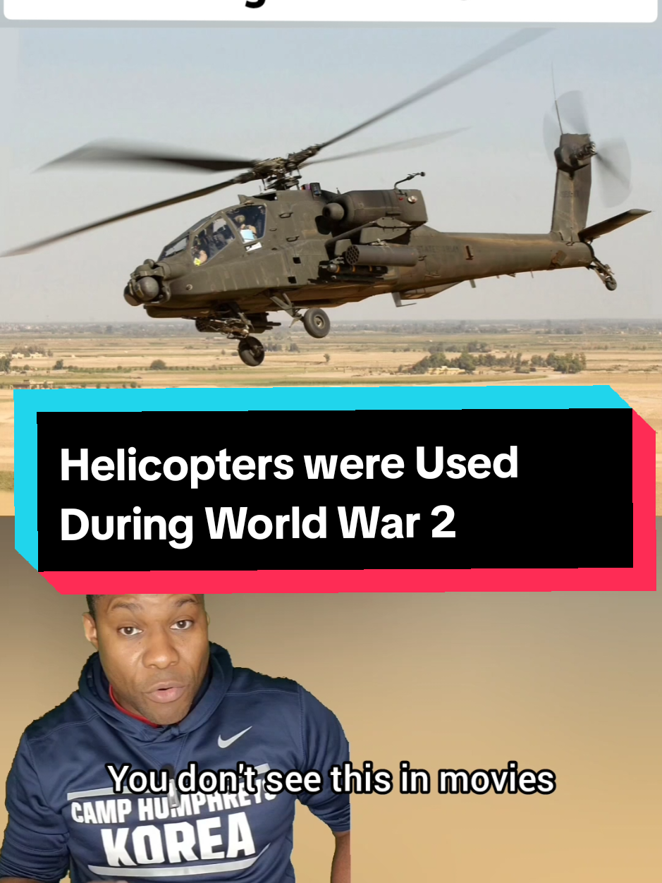 @History Fellow 🇺🇸