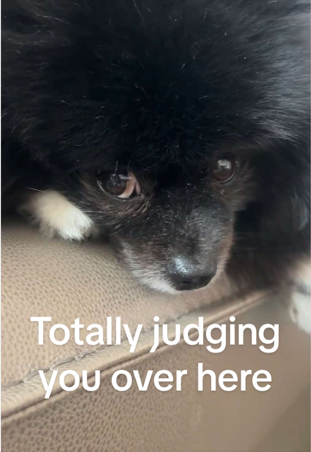 @BiggiePomPom
