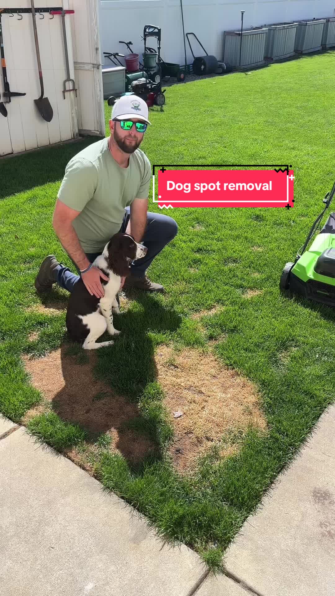 @Lawngest Yard