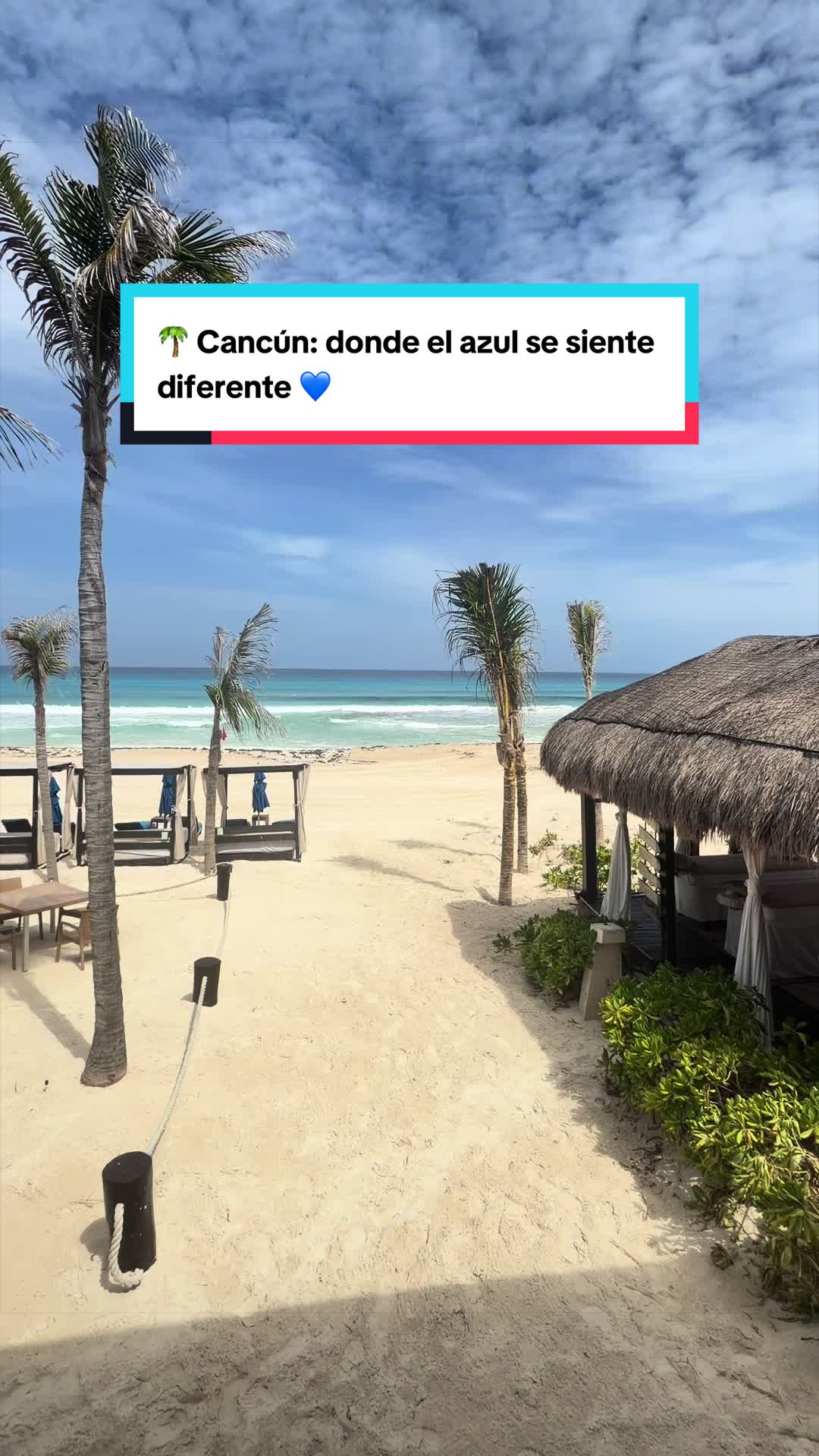 @Susana