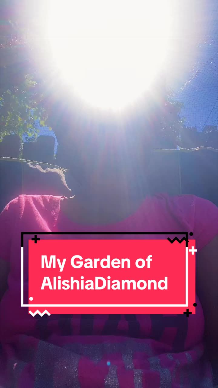 @Di'Ali Rich LLC