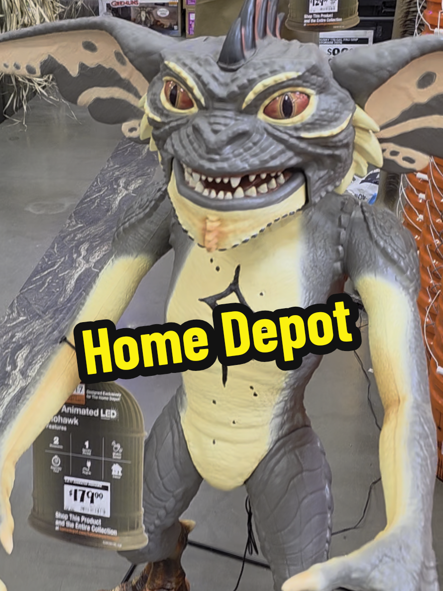 @lasvegasfunkoholics