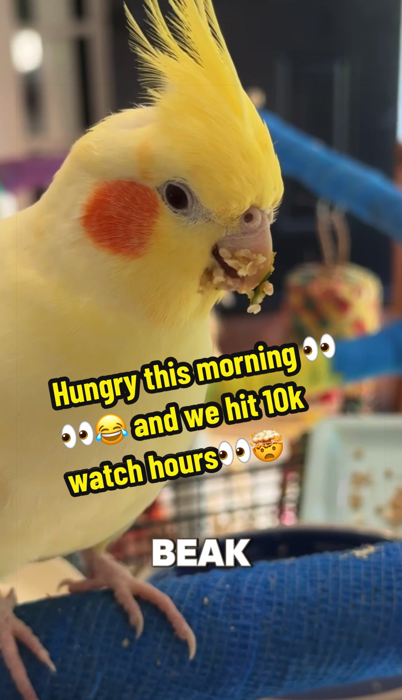 @Nico & Nari