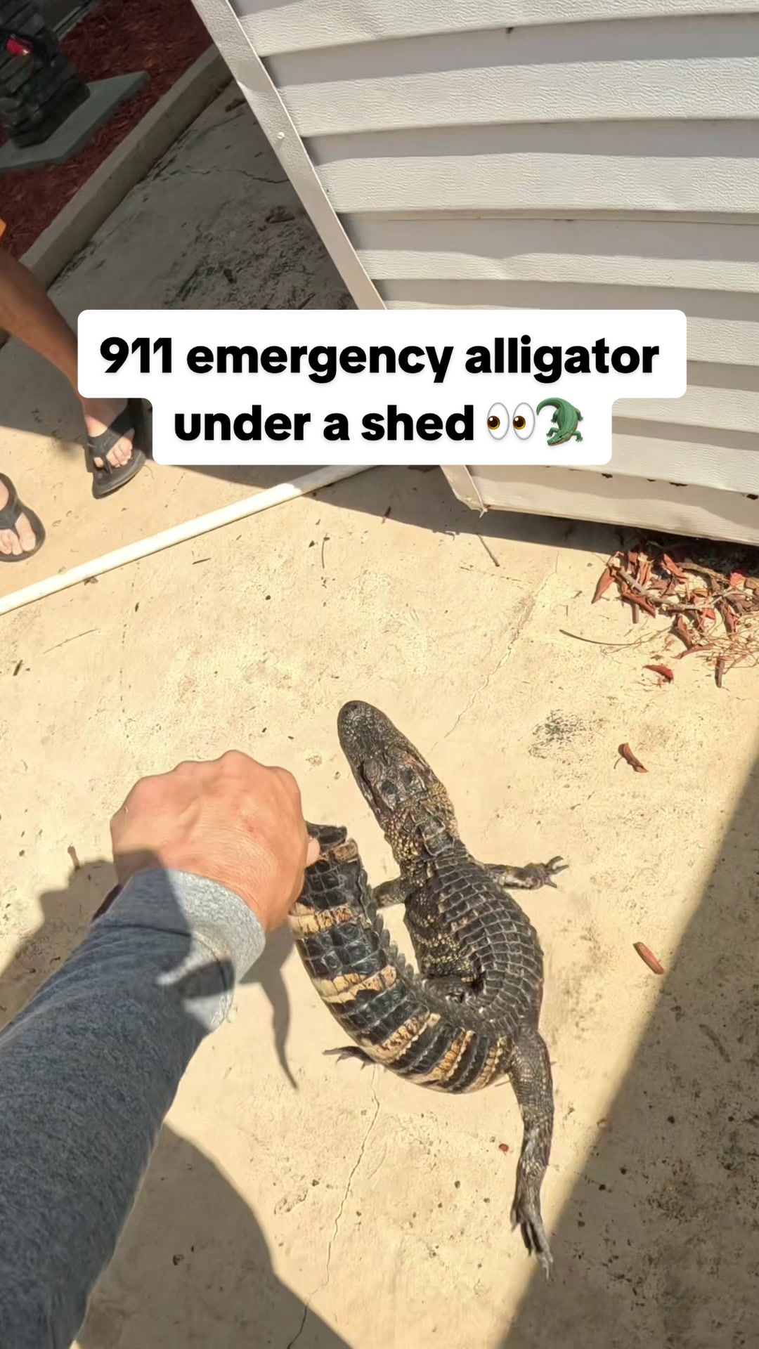@SwampAddictOutdoorsLLC