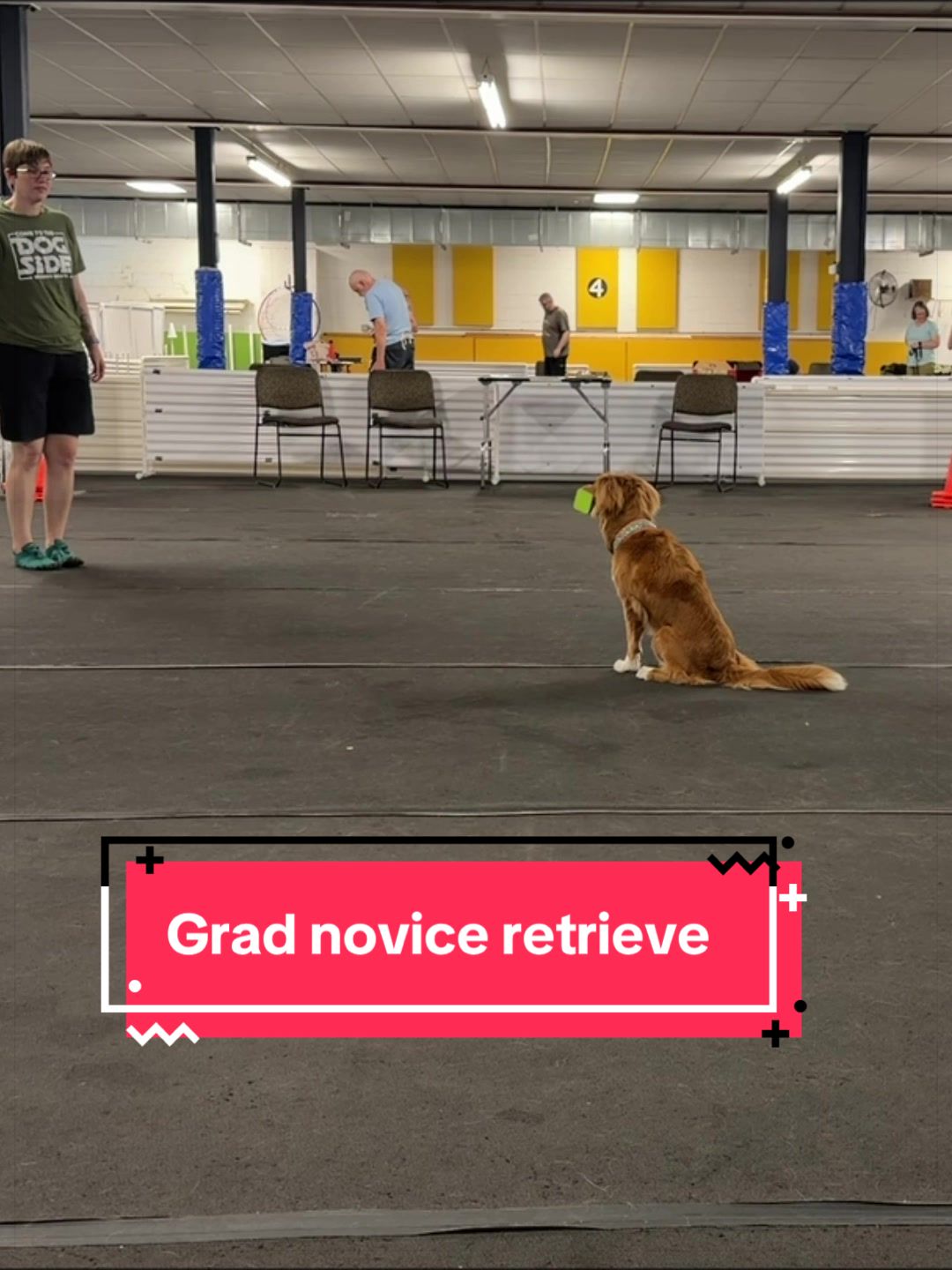 @Laura Waudby - Dog Sports