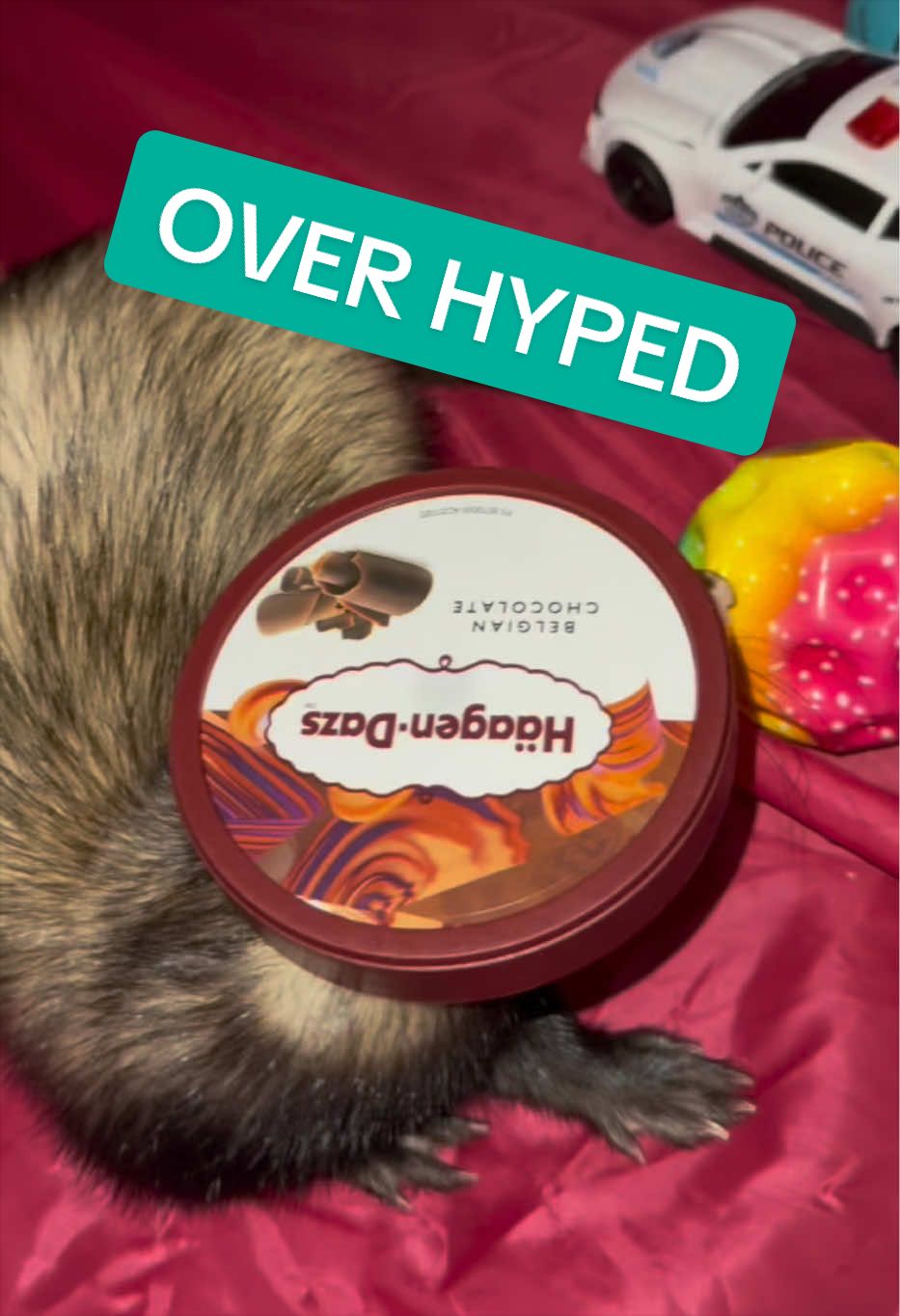 @Veritologic