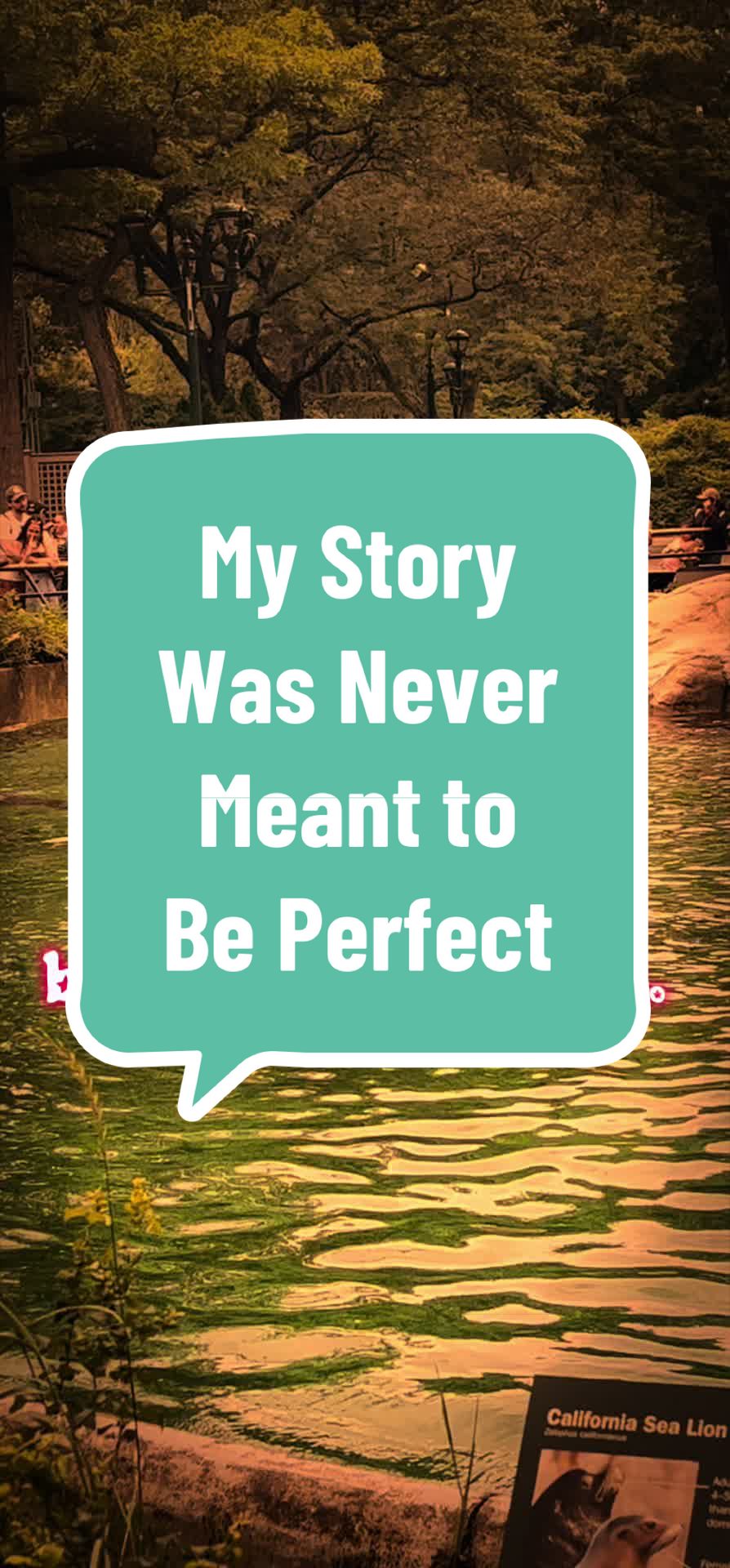 @Amanda Paige