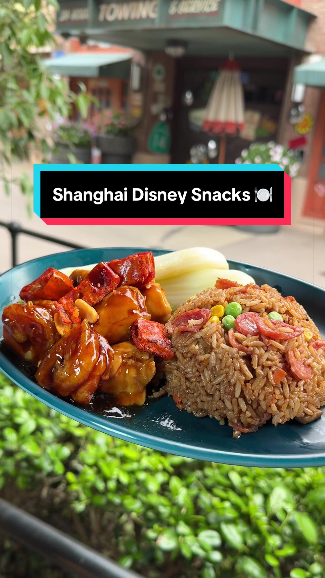 @Disney Parks
