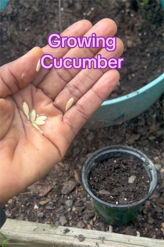 @Gardening4ME
