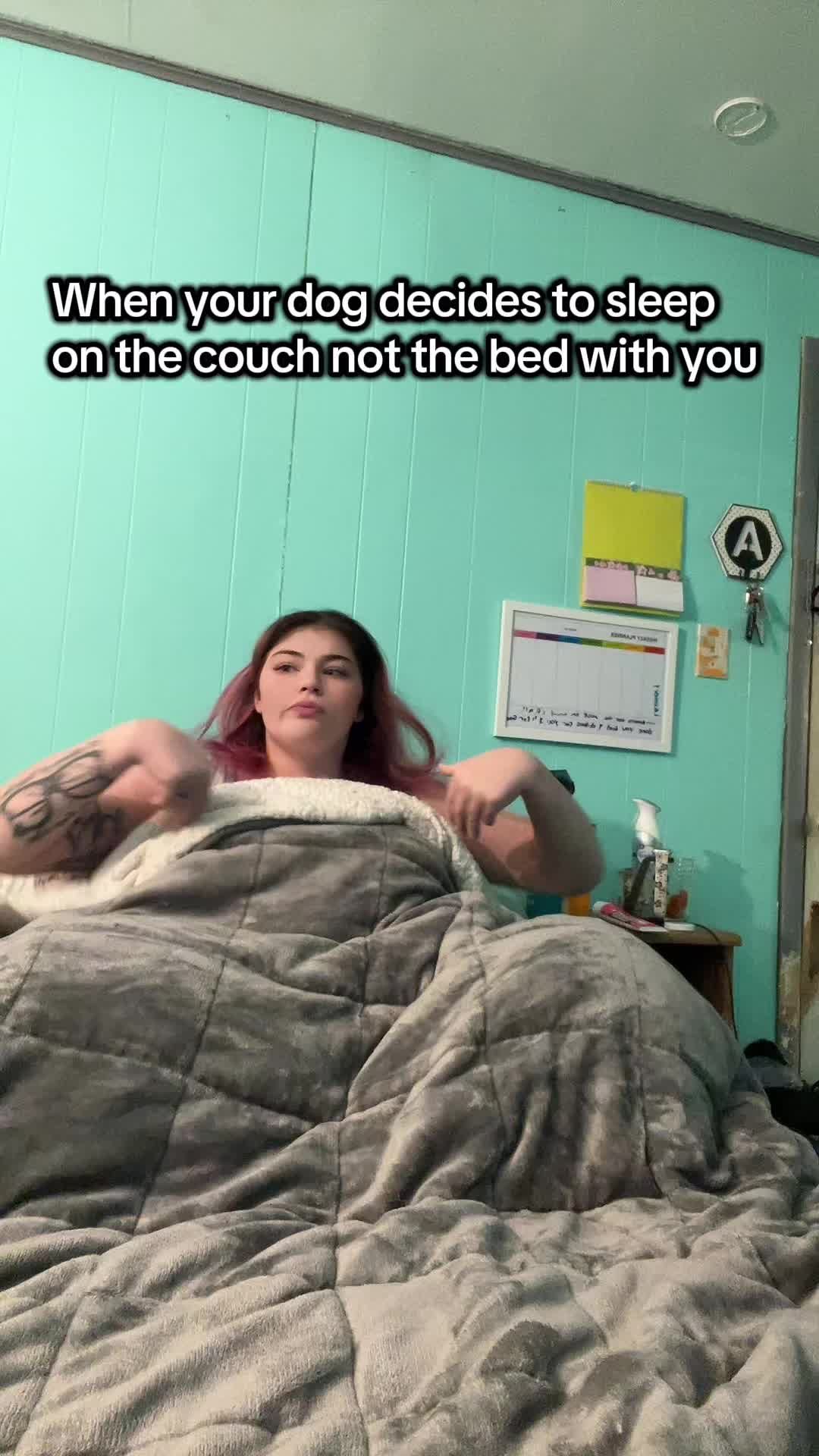 @Amanda Grace 🕶️🐅
