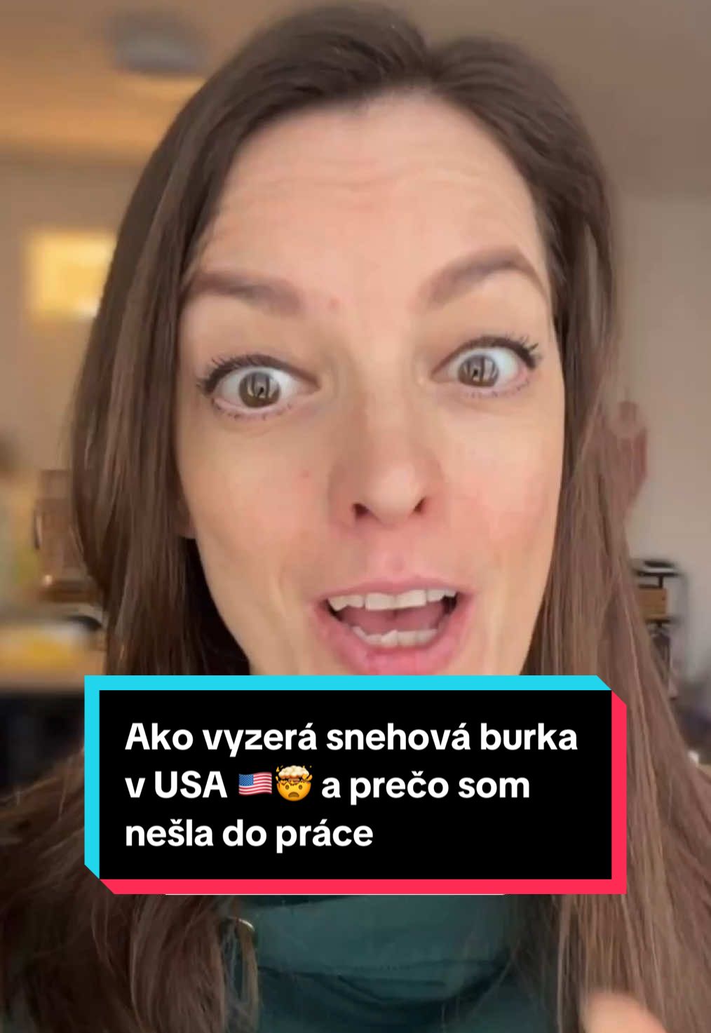 @slovenka v amerike