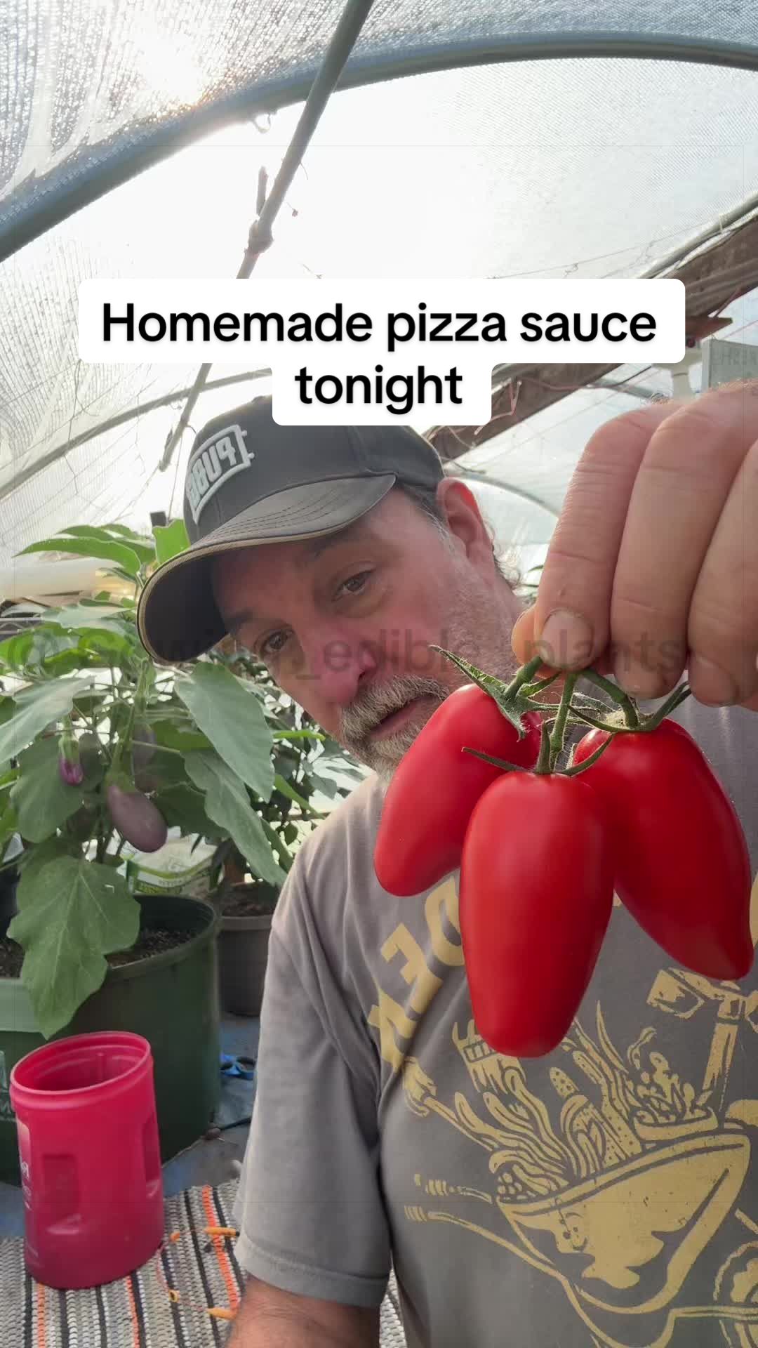 @GROWING_EDIBLE_PLANTS