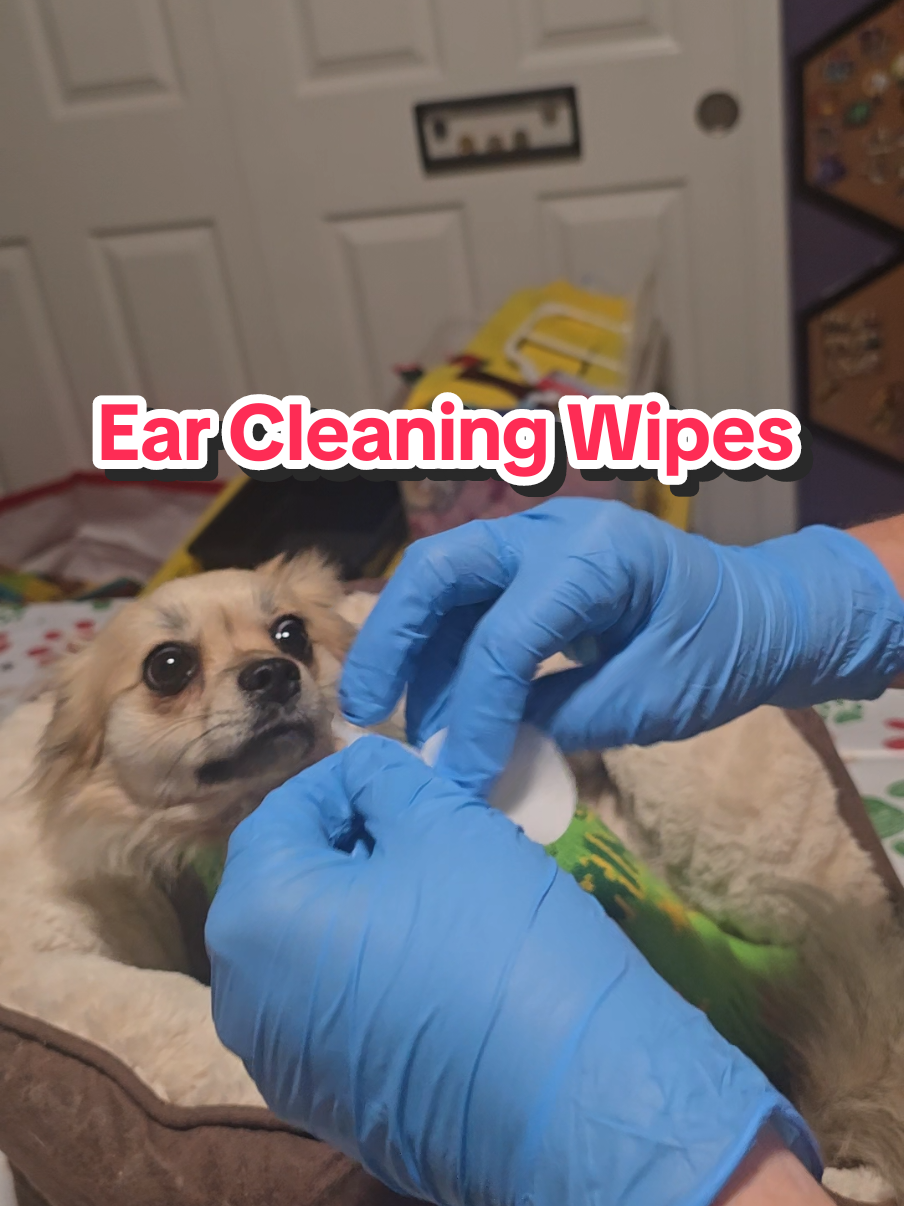@The Dog Mom