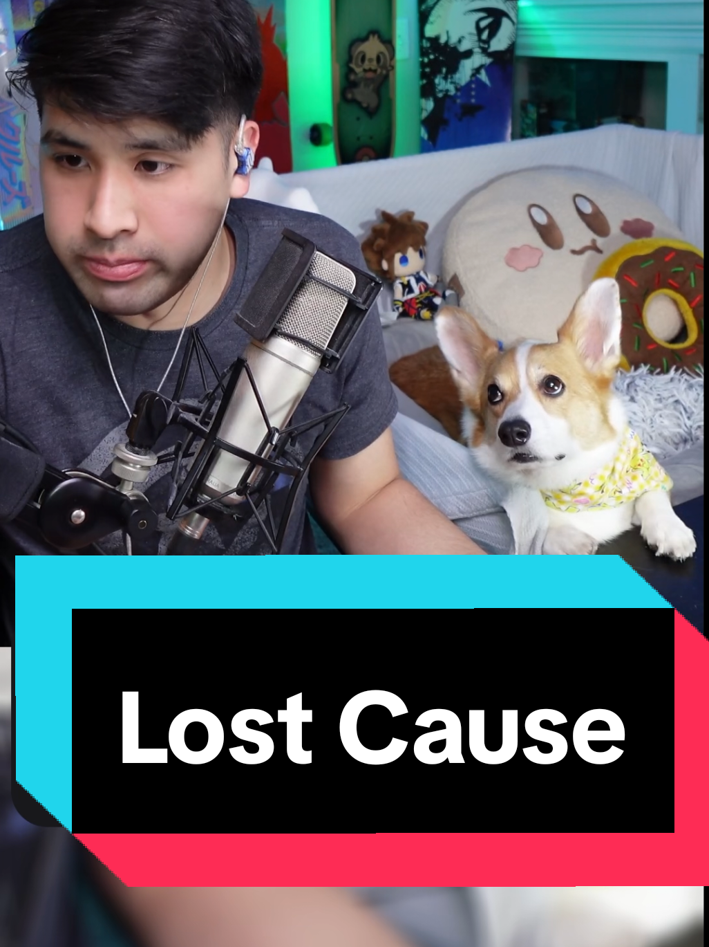 @Protocorg | Twitch Streamer
