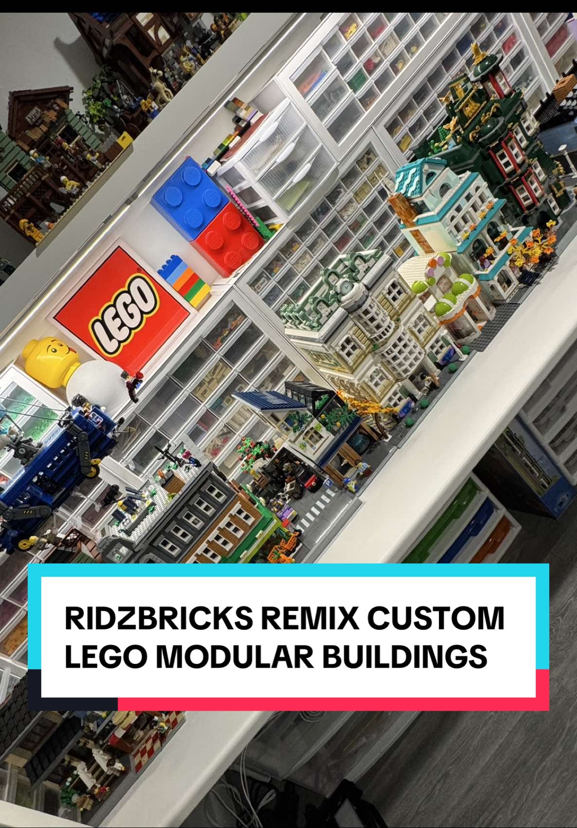@ridzbricks