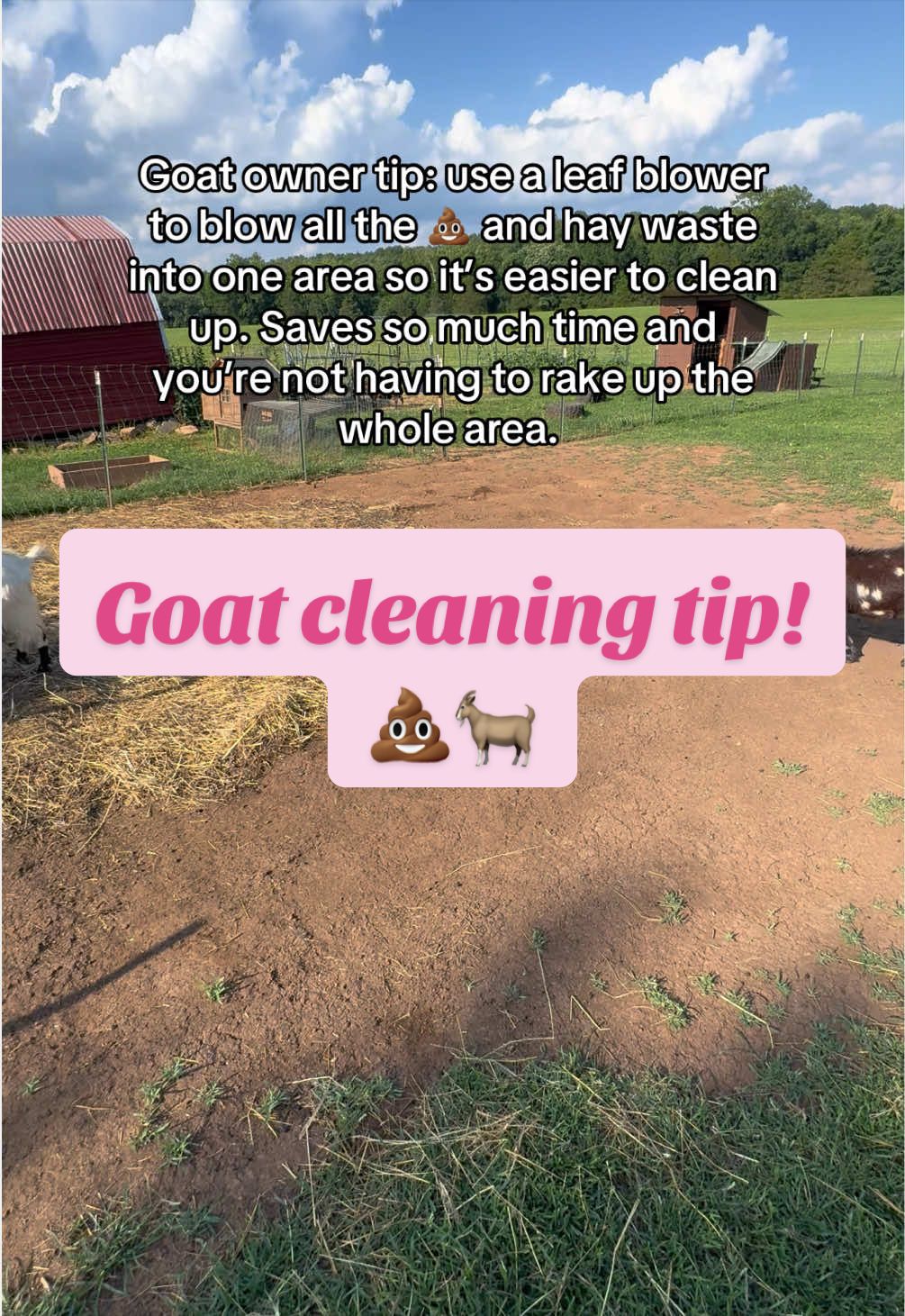 @Momma Tay🐐🐓👩🏼&zwj;🌾💕