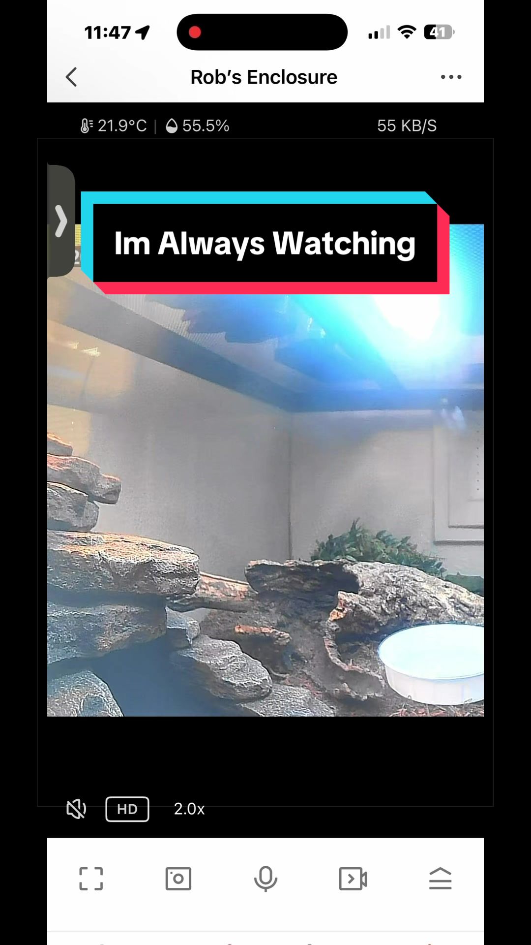 @HTL Exotics