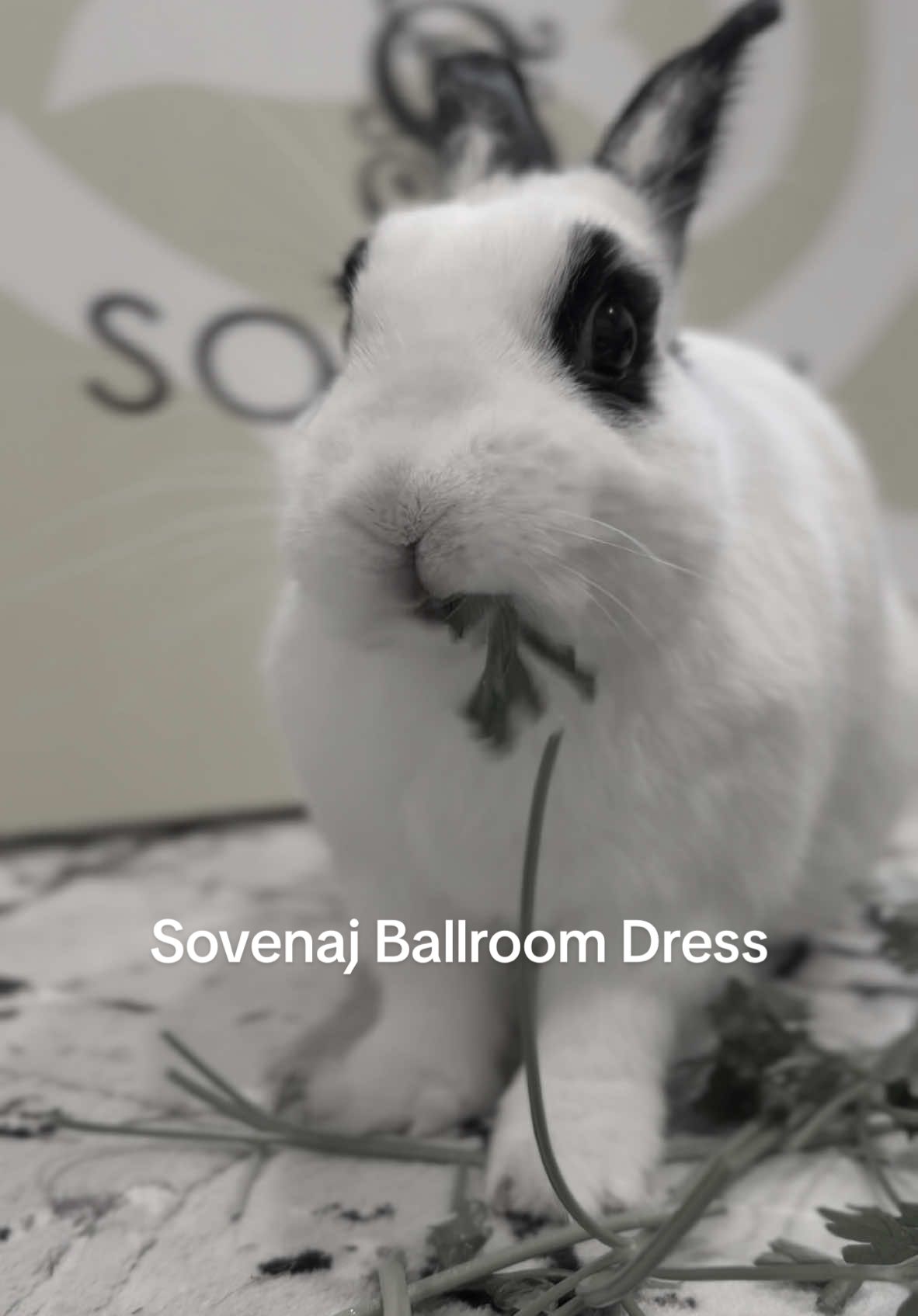 @sovenaj