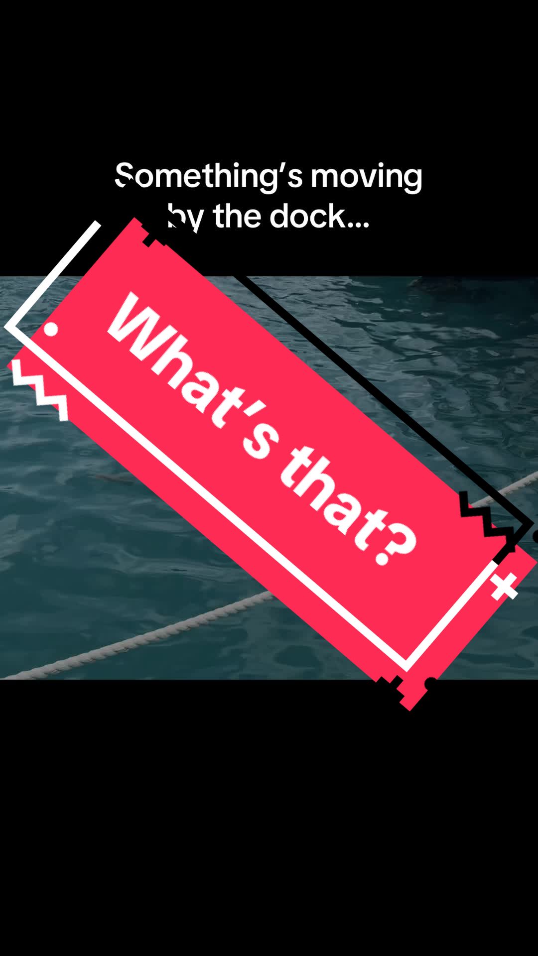 @itsmetheghey