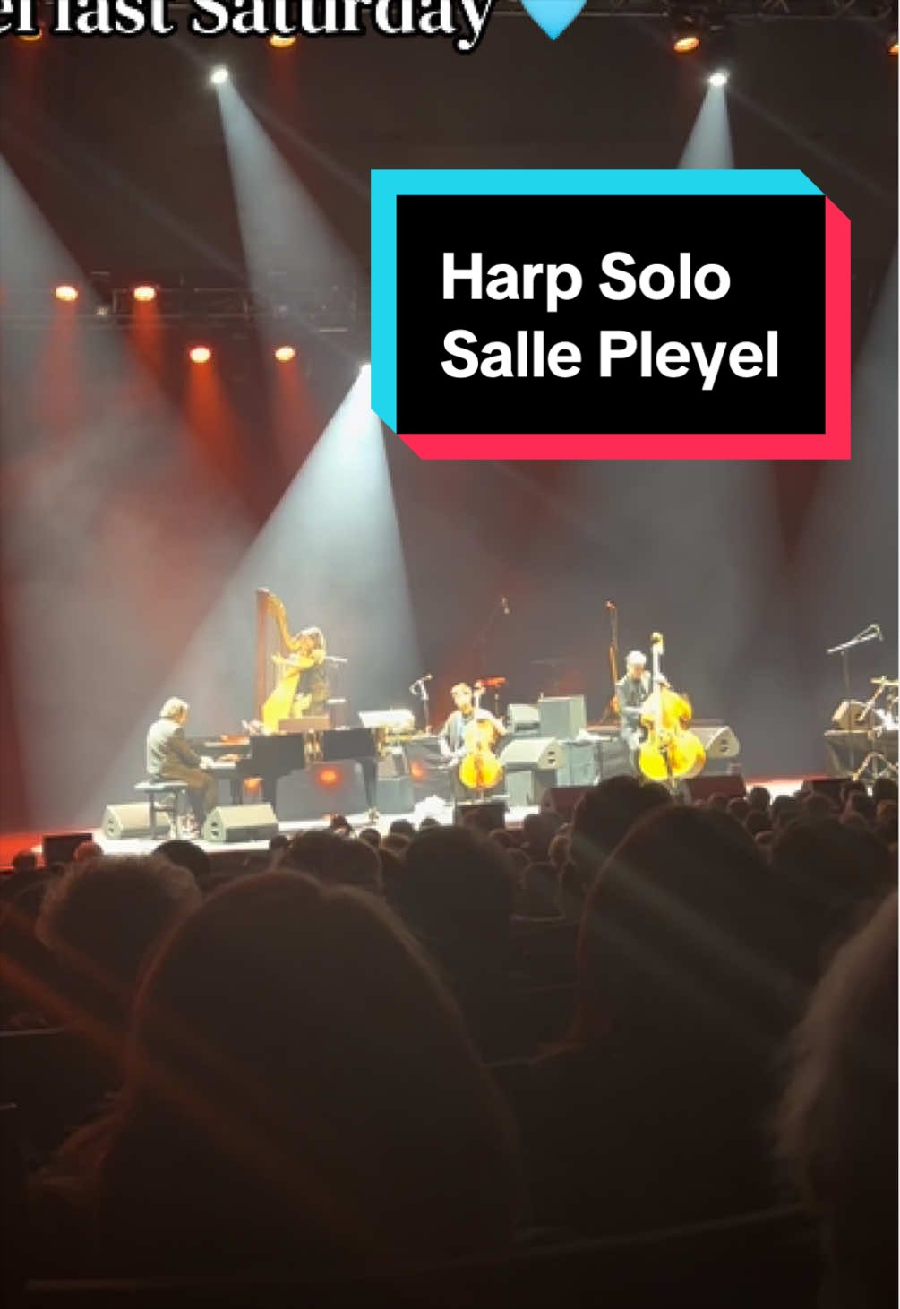 @Pia Salvia 🩵 Pia Harpist