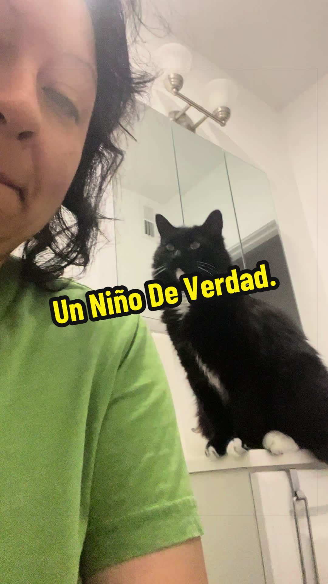 @🦖 MEOWassic CAT😺
