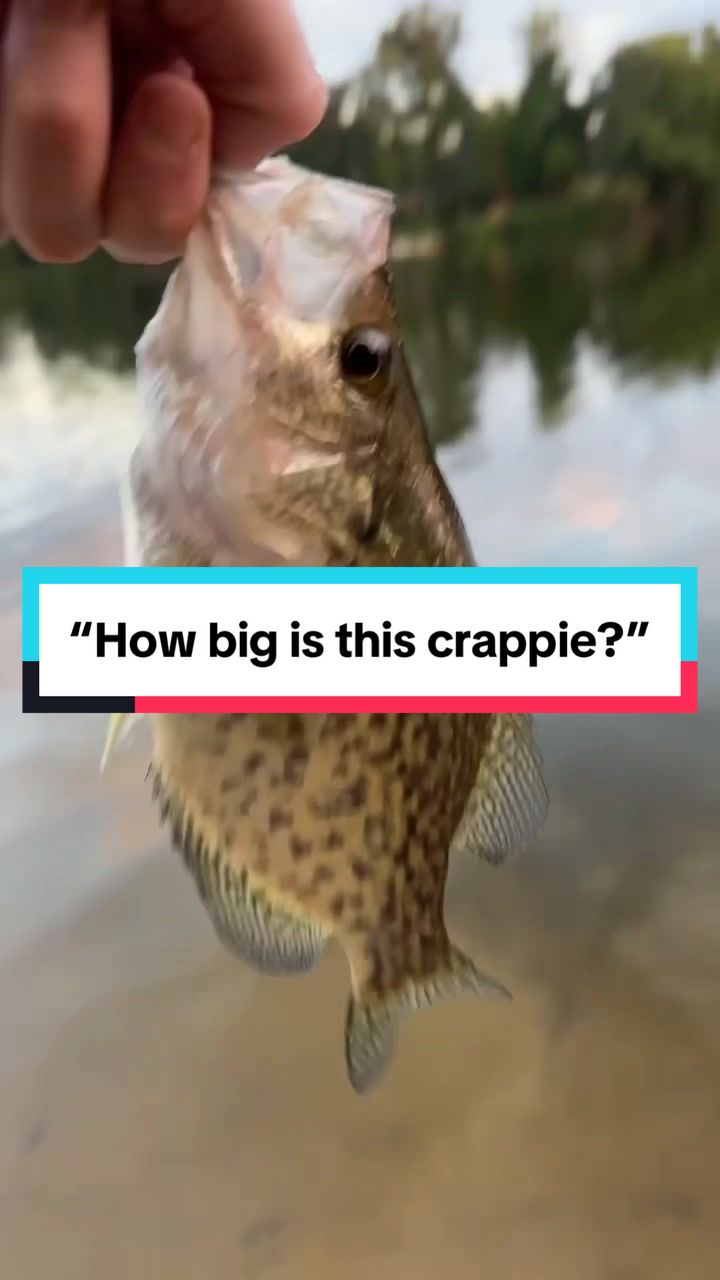 @fb1fishing