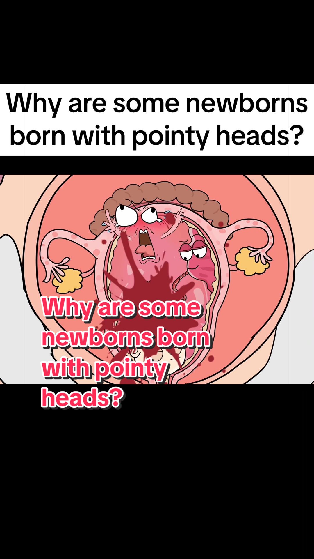 @Funny Animations