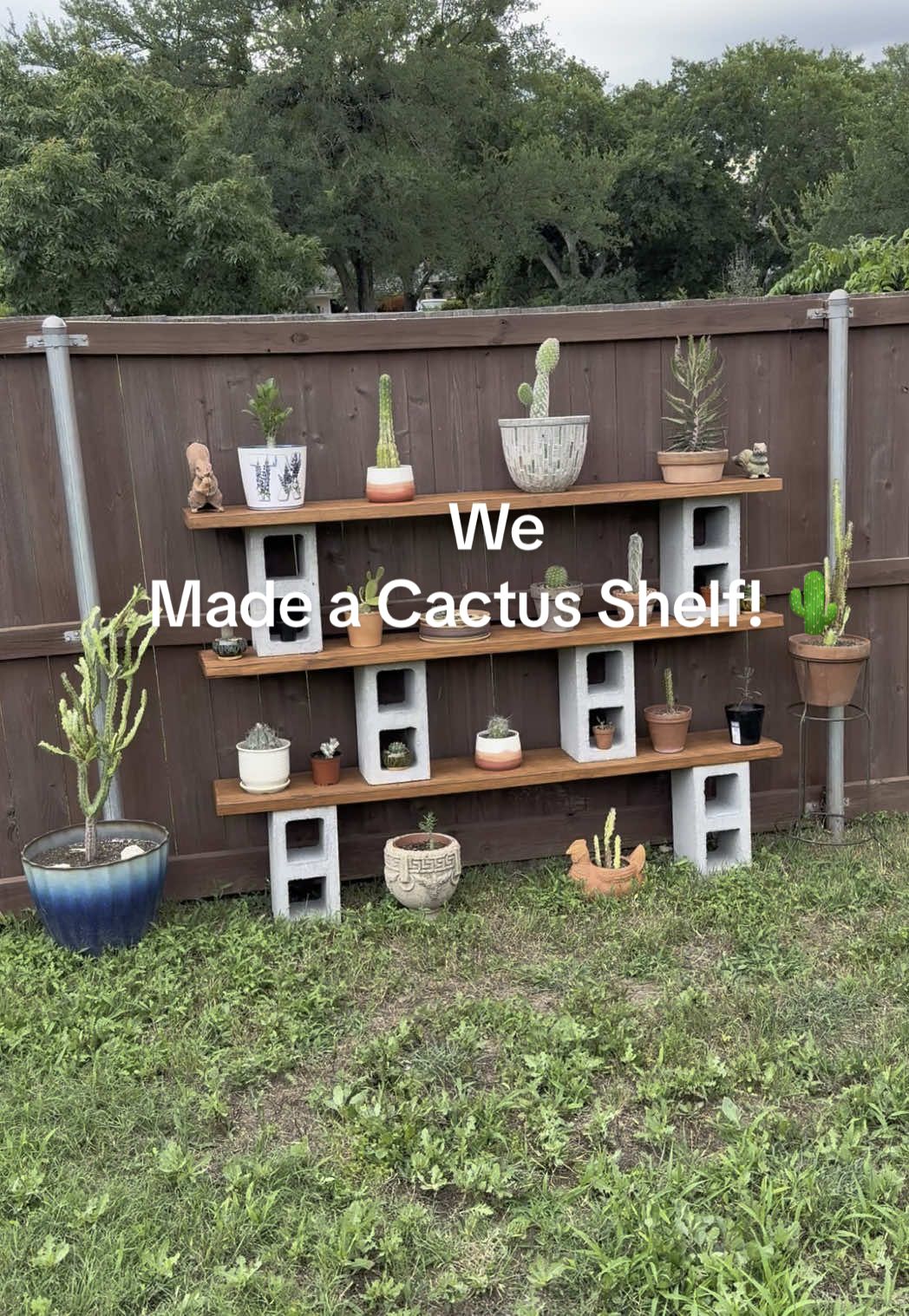 @Melissa