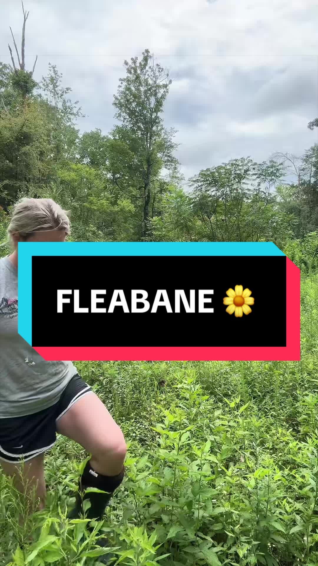 @𝔽𝕖𝕝𝕚𝕔𝕚𝕒 𝕋𝕒𝕪𝕝𝕠𝕣