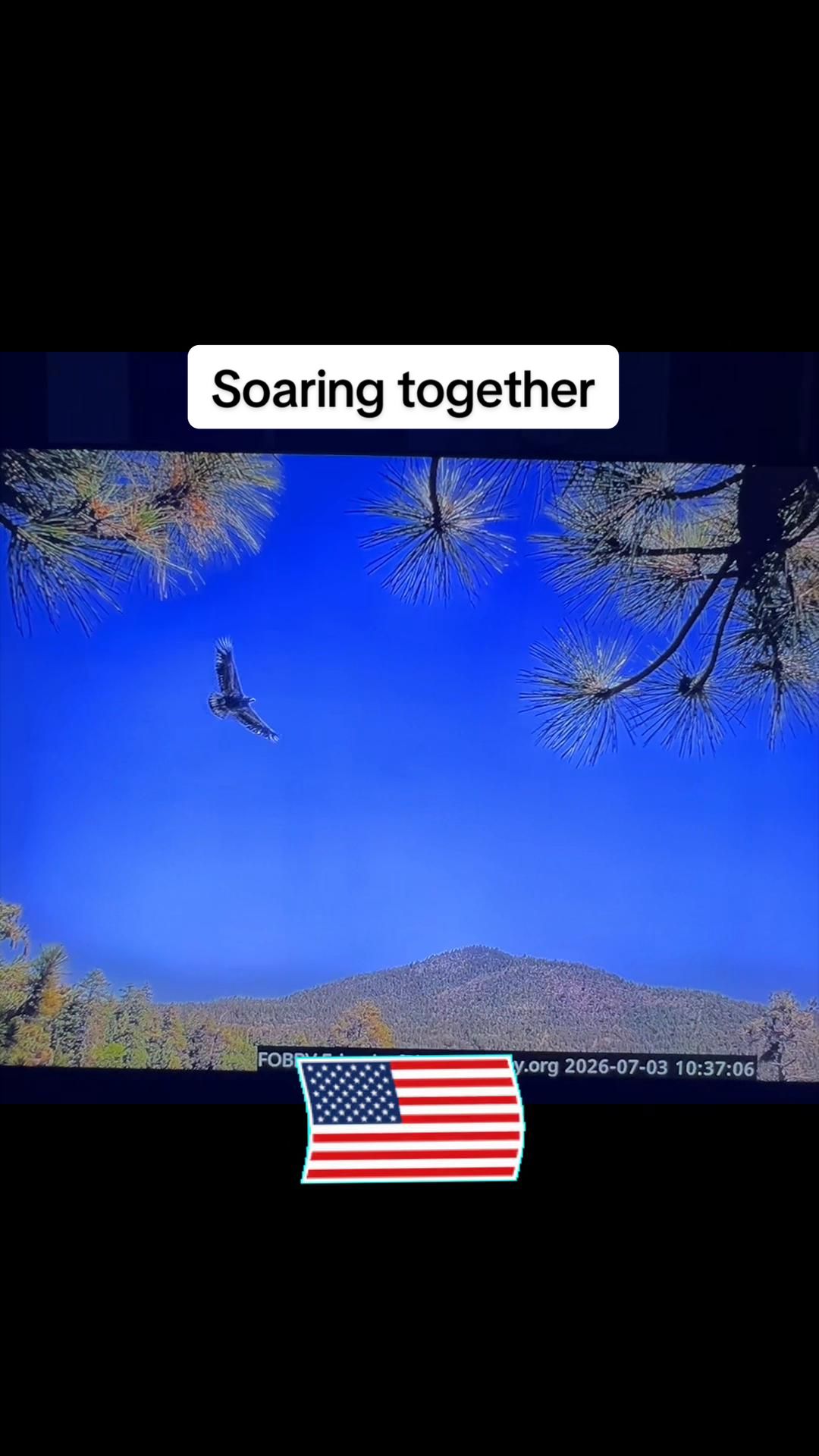 @🇺🇸 Just Joni 🇺🇸