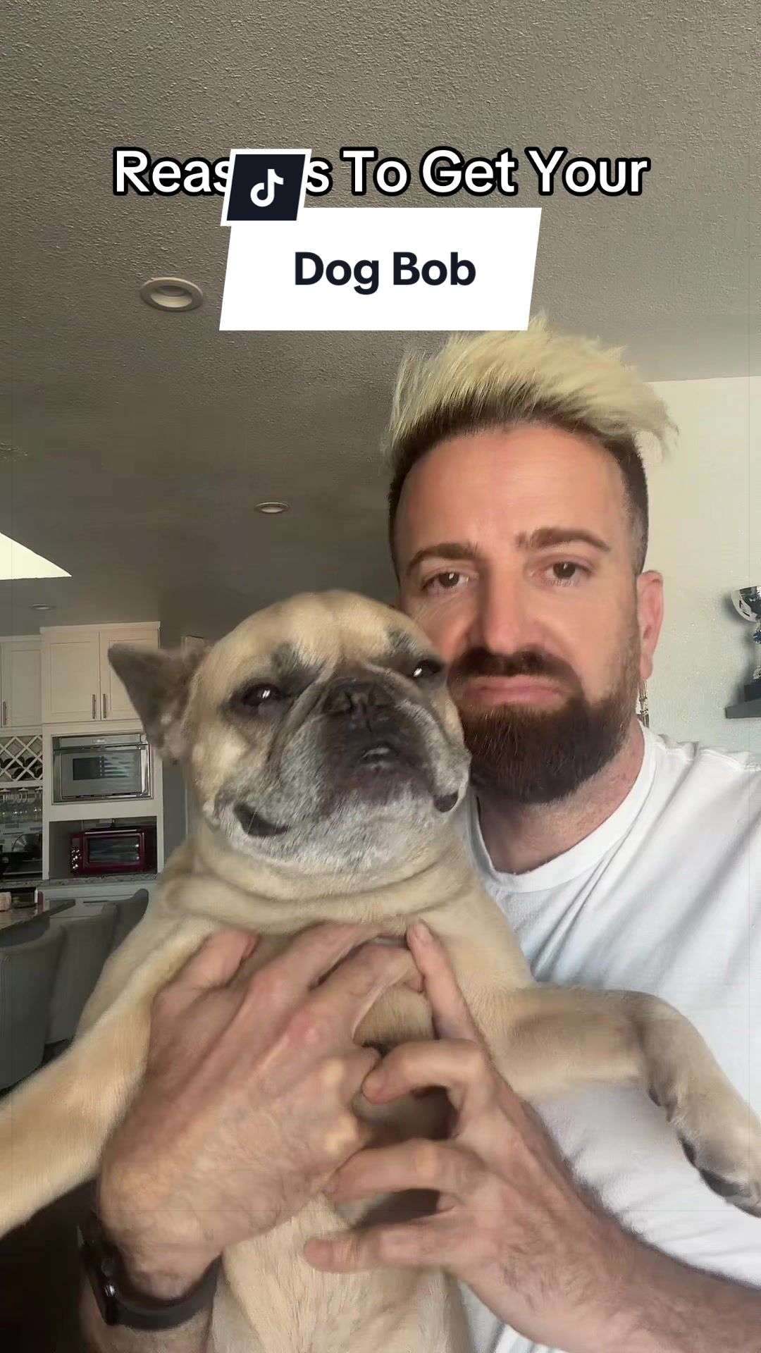 @Somefrenchienamedapollo