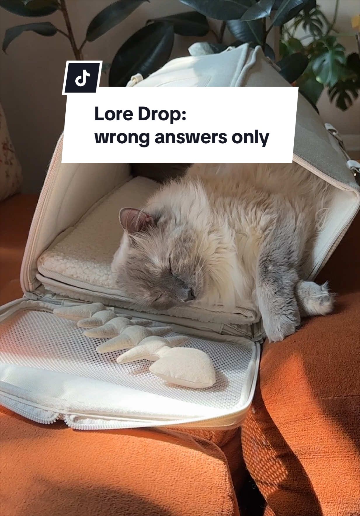 @Tuft & Paw